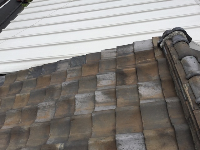 八尾市の屋根点検。経年劣化で波打ってズレた瓦屋根と、隣家のリフォーム済み金属屋根の比較。