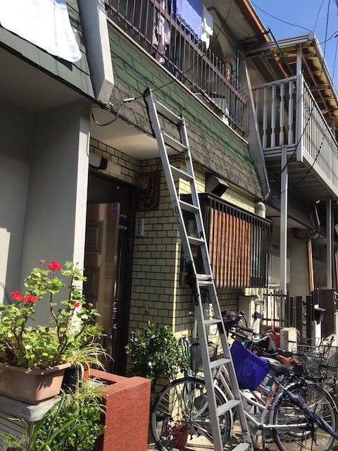 東大阪市若江の現場 ハシゴを使って詳細な屋根調査を行う様子