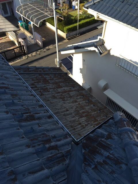 1階部分の屋根（下屋根）の調査。日陰部分には特にコケが密集している様子