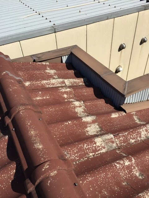  ひび割れによる雨漏りリスクが高まっている屋根の様子