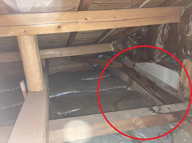 雨漏り点検屋根裏