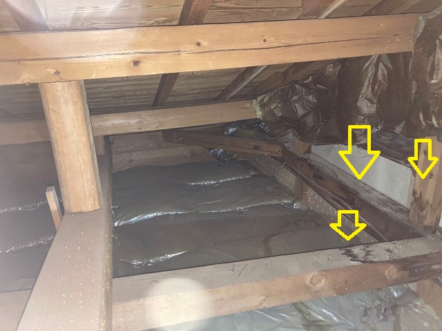 天井裏の梁にシミ