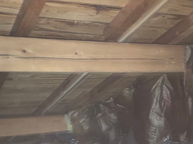 天井裏雨漏り点検