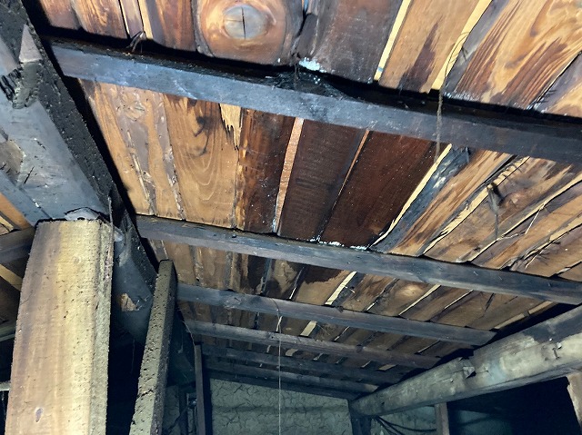 屋根の下地が濡れている