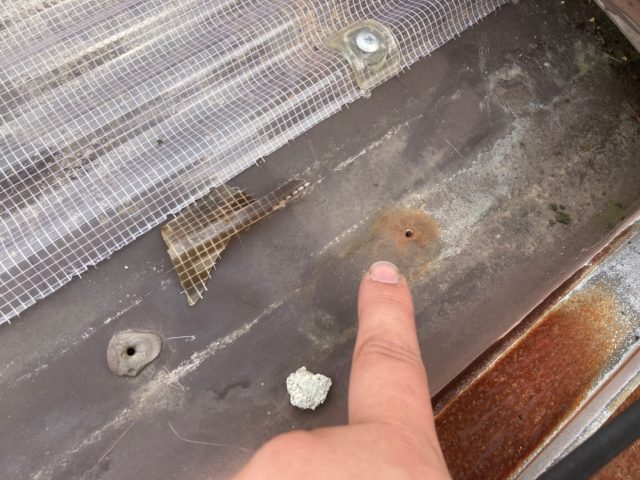 八尾市で屋根に小さな穴