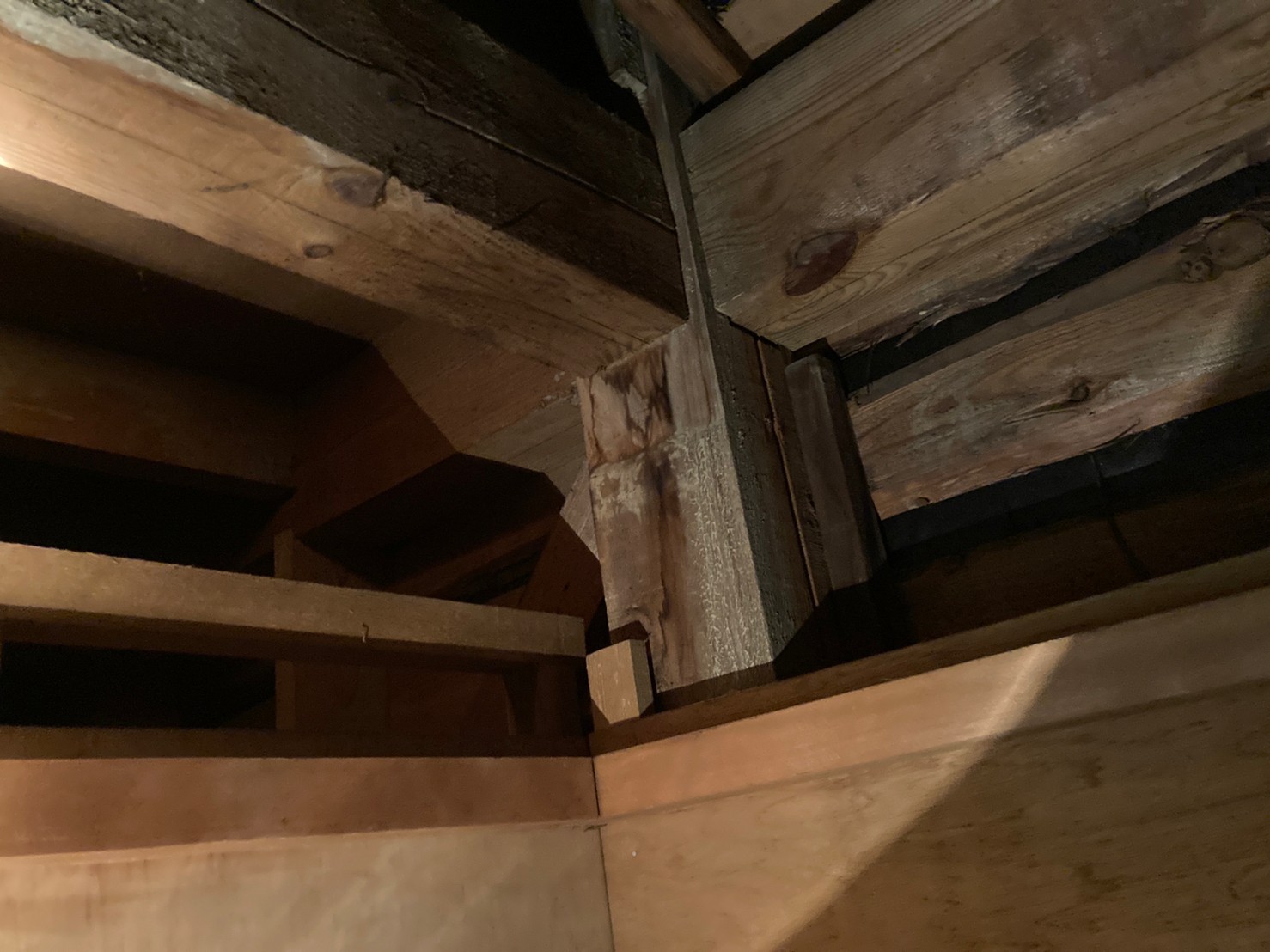 天井裏に雨漏り