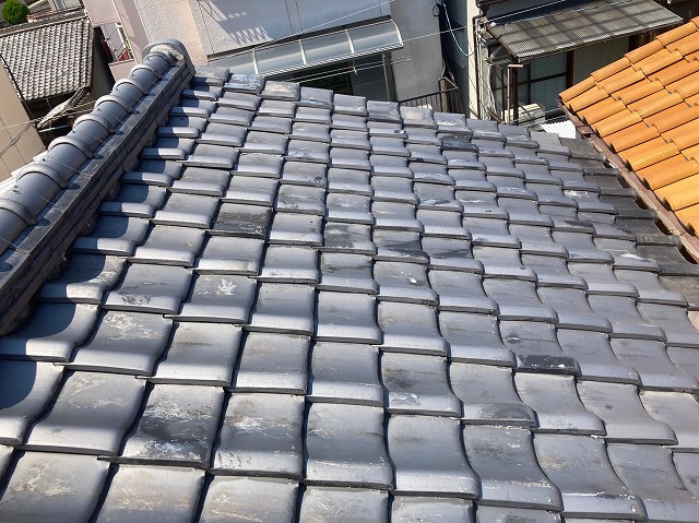 瓦の点検