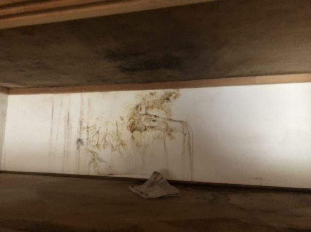 押し入れに茶色いしみ