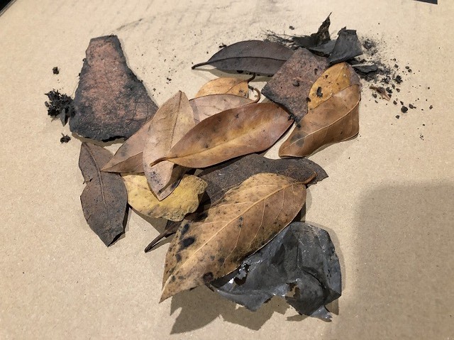 樋詰まりのゴミ