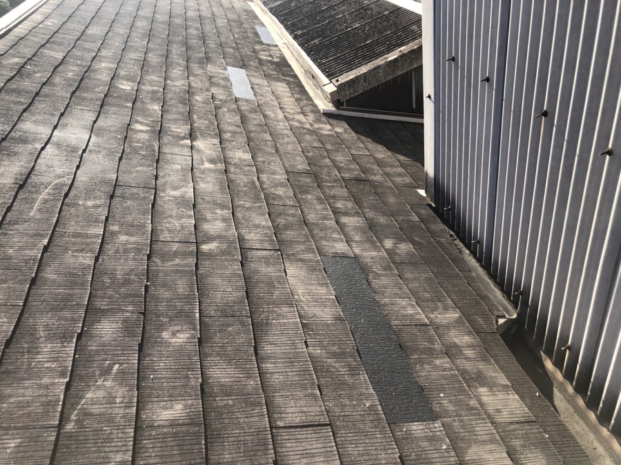 カラーベスト差替え