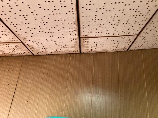 八尾市で雨漏り