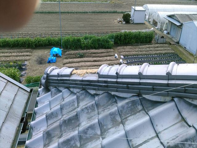 八尾市　瓦補修