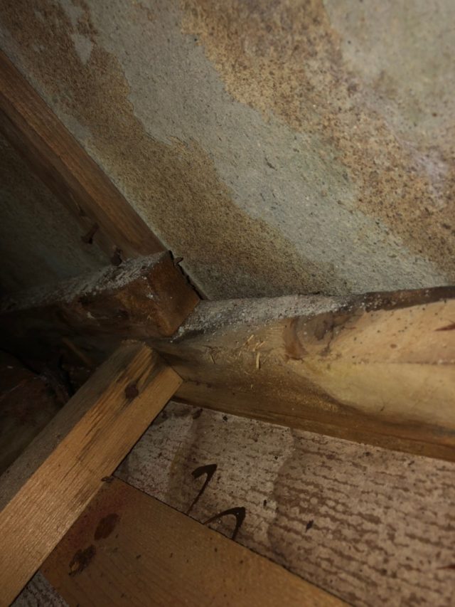 天井裏に雨漏りのシミ