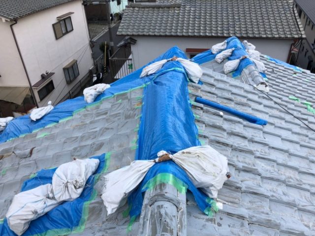 台風養生やり直し