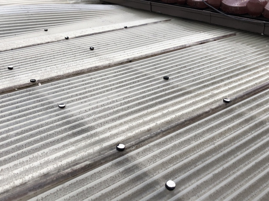 八尾　波板　火災保険