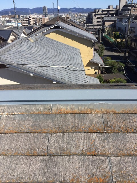 塗膜が剥がれ、湿気を含んで変色とコケが目立つ堺市南区の屋根材接写