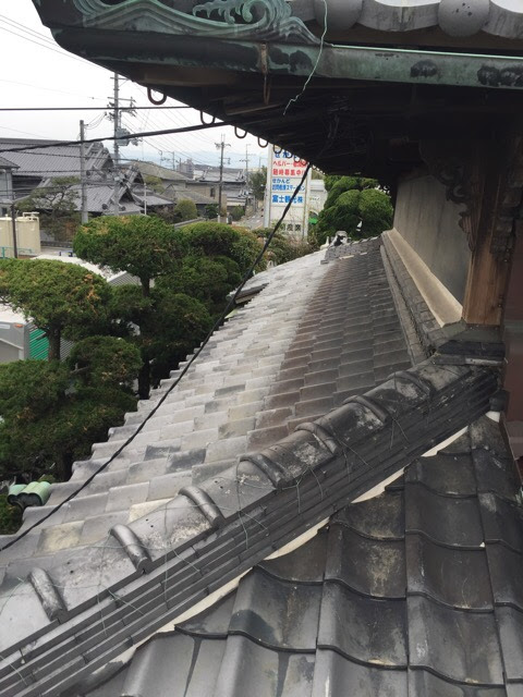 堺市西区で雨漏り修理の現地調査を行う屋根の様子