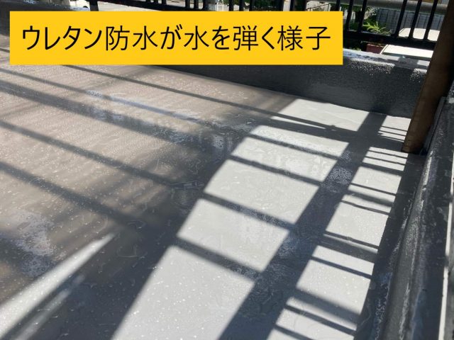 水弾く