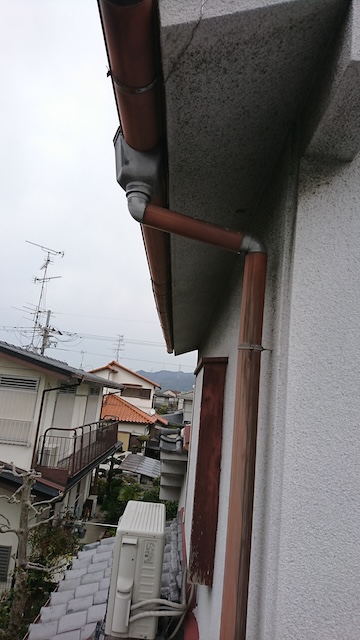 軒先の雨樋と外壁際