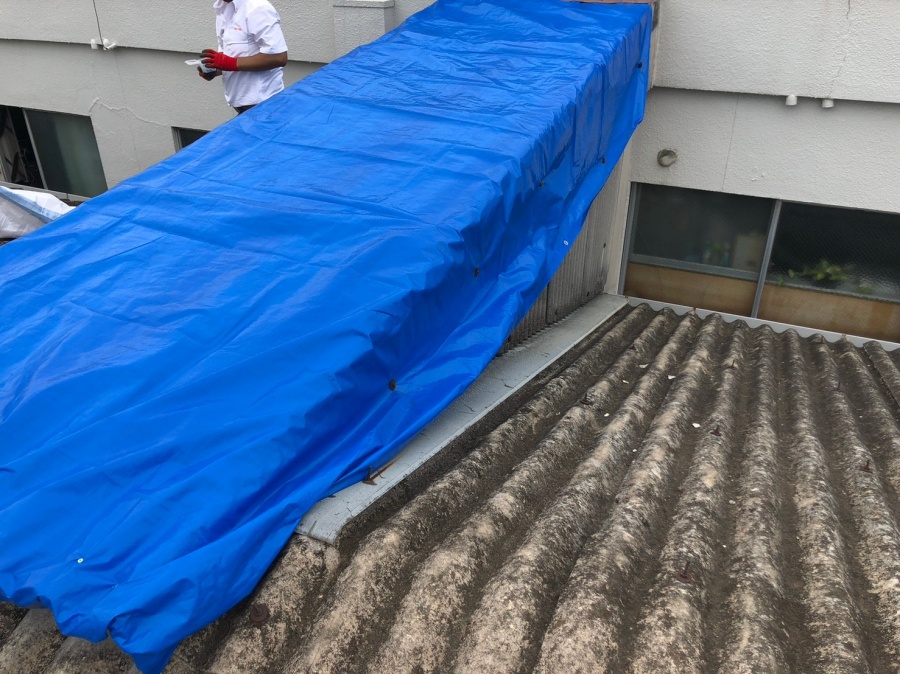熟練の職人が一点一点手作業で雨漏り箇所を特定しブルーシートで養生する様子