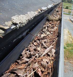 枯れ葉が溜まった雨どい