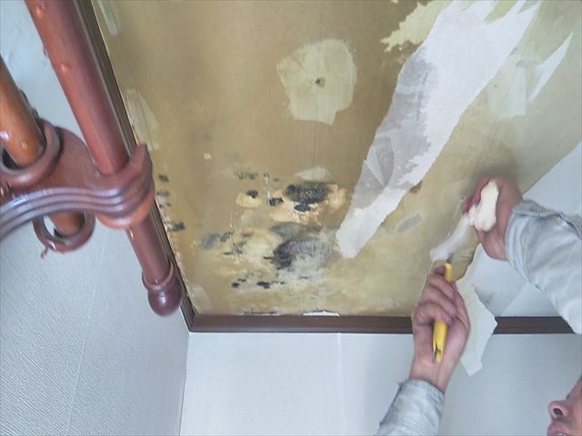 姫路市の雨漏り箇所の確認