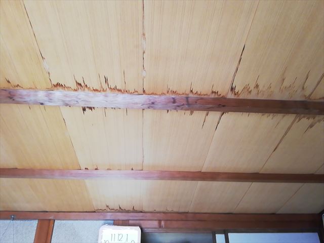 高砂市の天井の雨染み