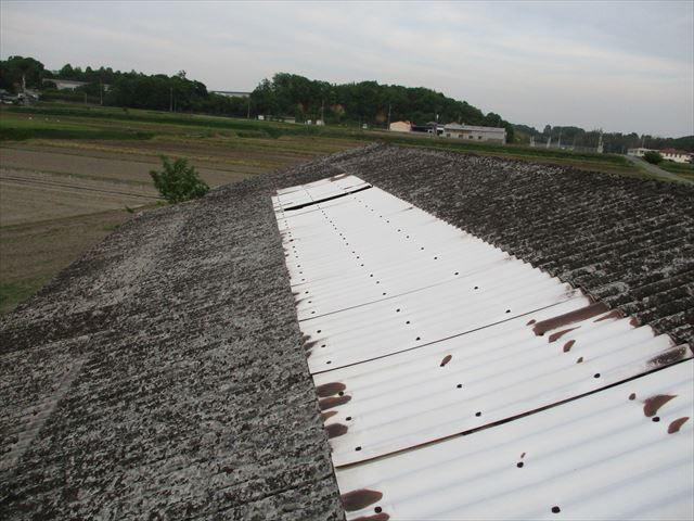 加西市のスレート屋根のポリカ修理