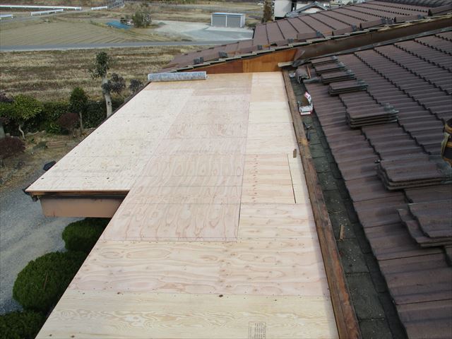 張り替えた野地板