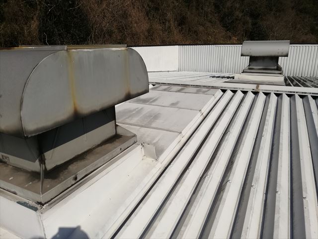 姫路市の雨漏り調査の折板屋根のルーフファン