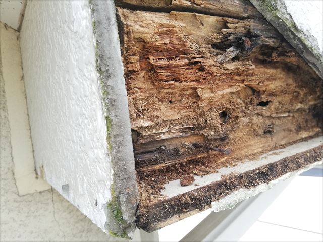破風板下地　シロアリ被害