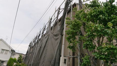 台風養生