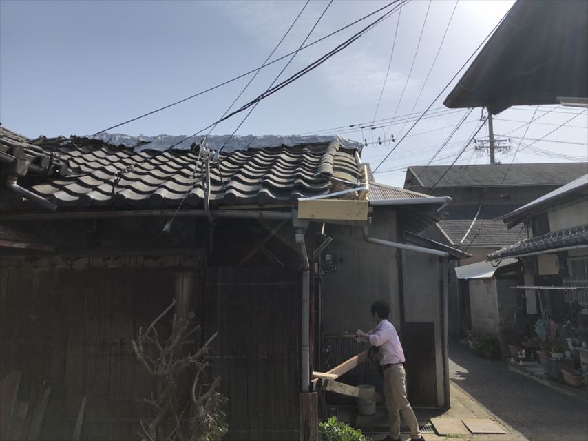 岸和田現地調査