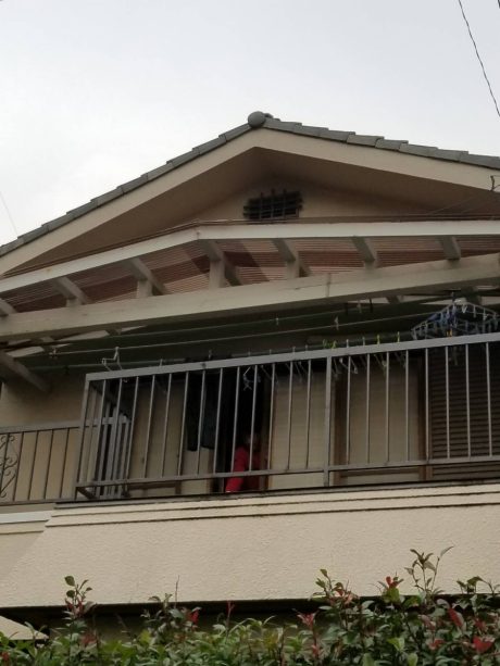 張替え完了遠景