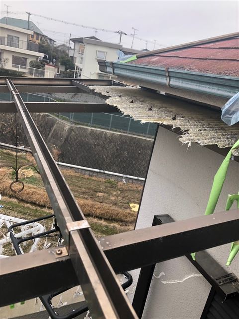 和泉市　波板飛散