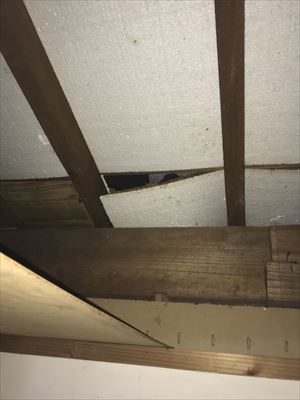 天井裏　雨漏れ