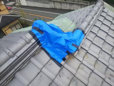 ブルーシート　棟瓦崩壊