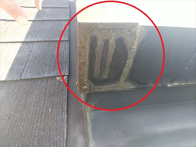 天窓外部雨垂れ確認