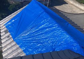 屋根　応急処置