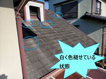 コロニアル　色褪せ