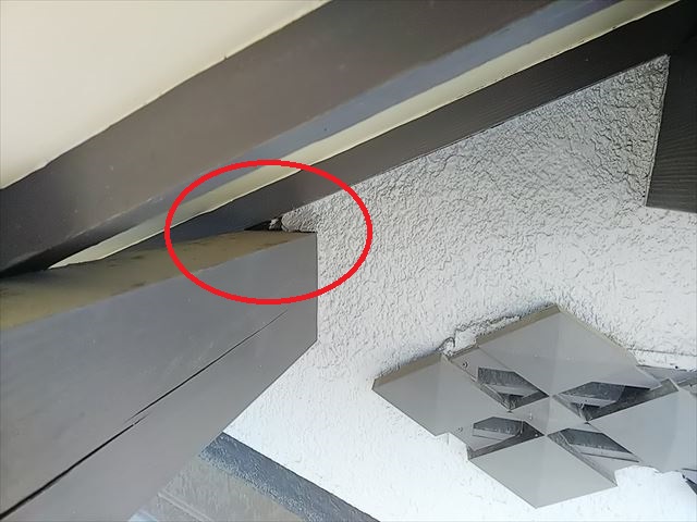 屋根周り穴あき部分