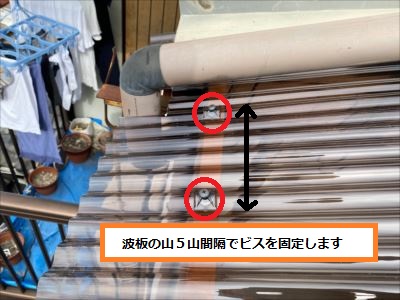 波板　ビス　５山間隔