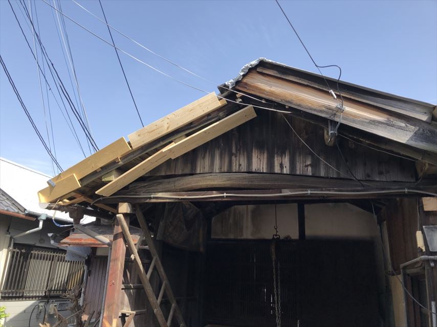 岸和田現地調査