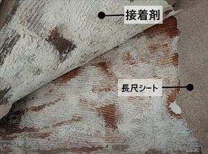 防水シート下　状況