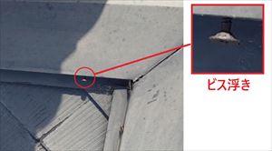 棟板金　ビス浮き