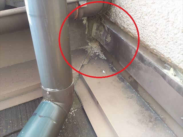 雨漏り部屋根板金