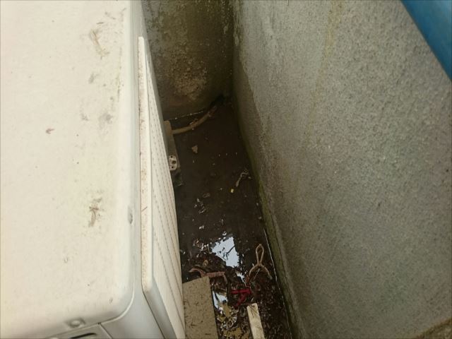 散水調査　コラム③