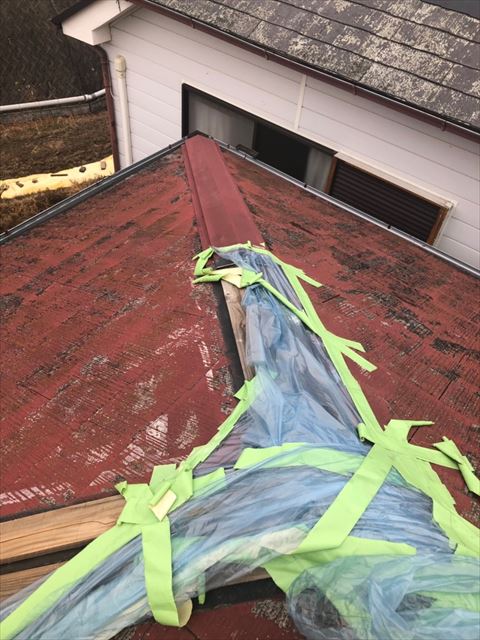 和泉市　棟板金飛散