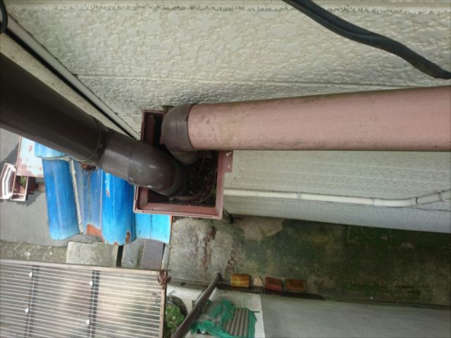 散水調査　コラム④