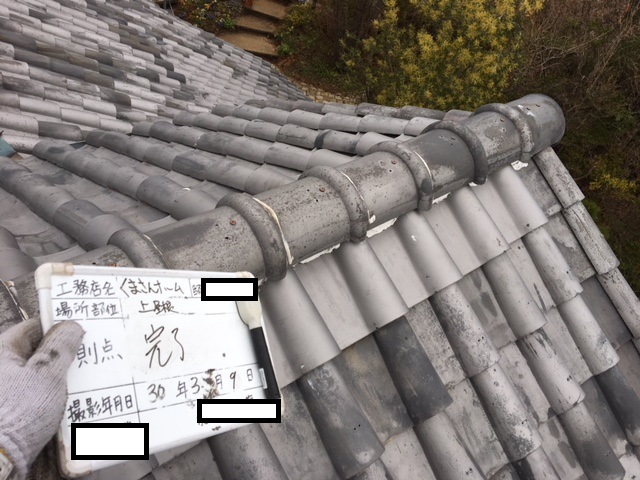 ハト小屋棟完了